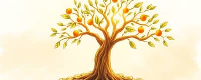 Construye tu Patrimonio: El Rol del Ingreso Adicional